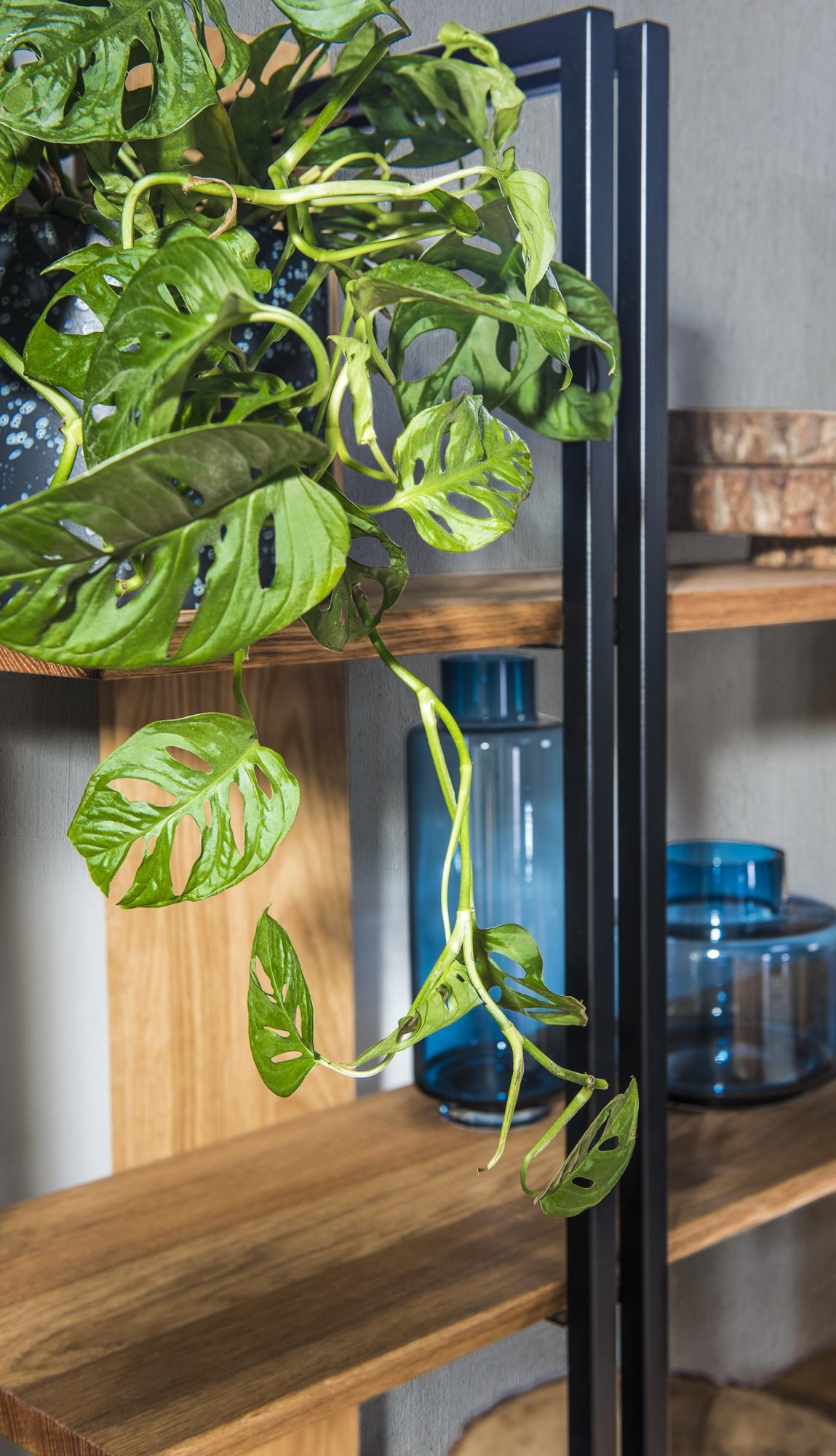 Regał drewniany zbliżenie