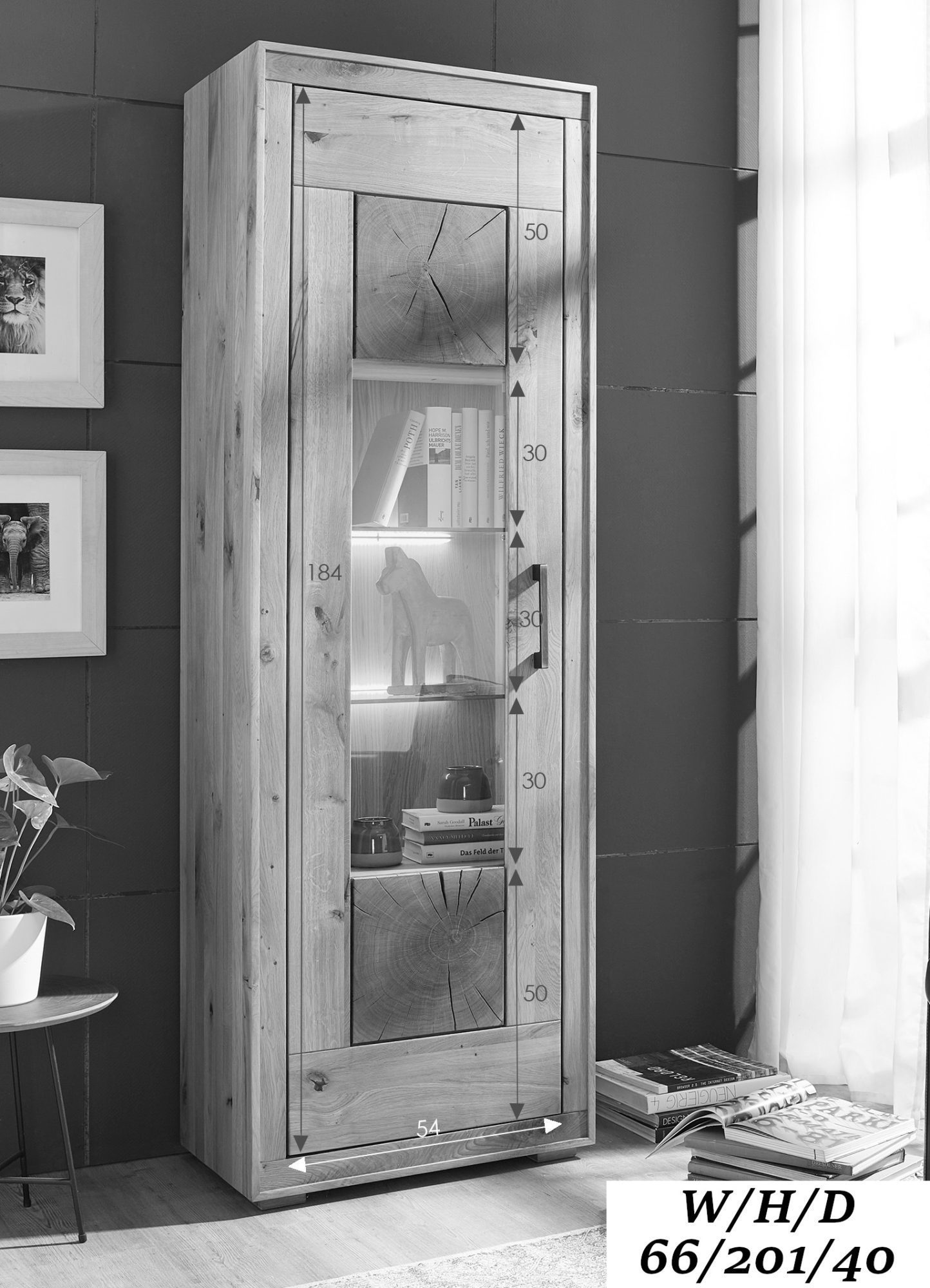 Czarno-biała grafika z witryną i światłem LED