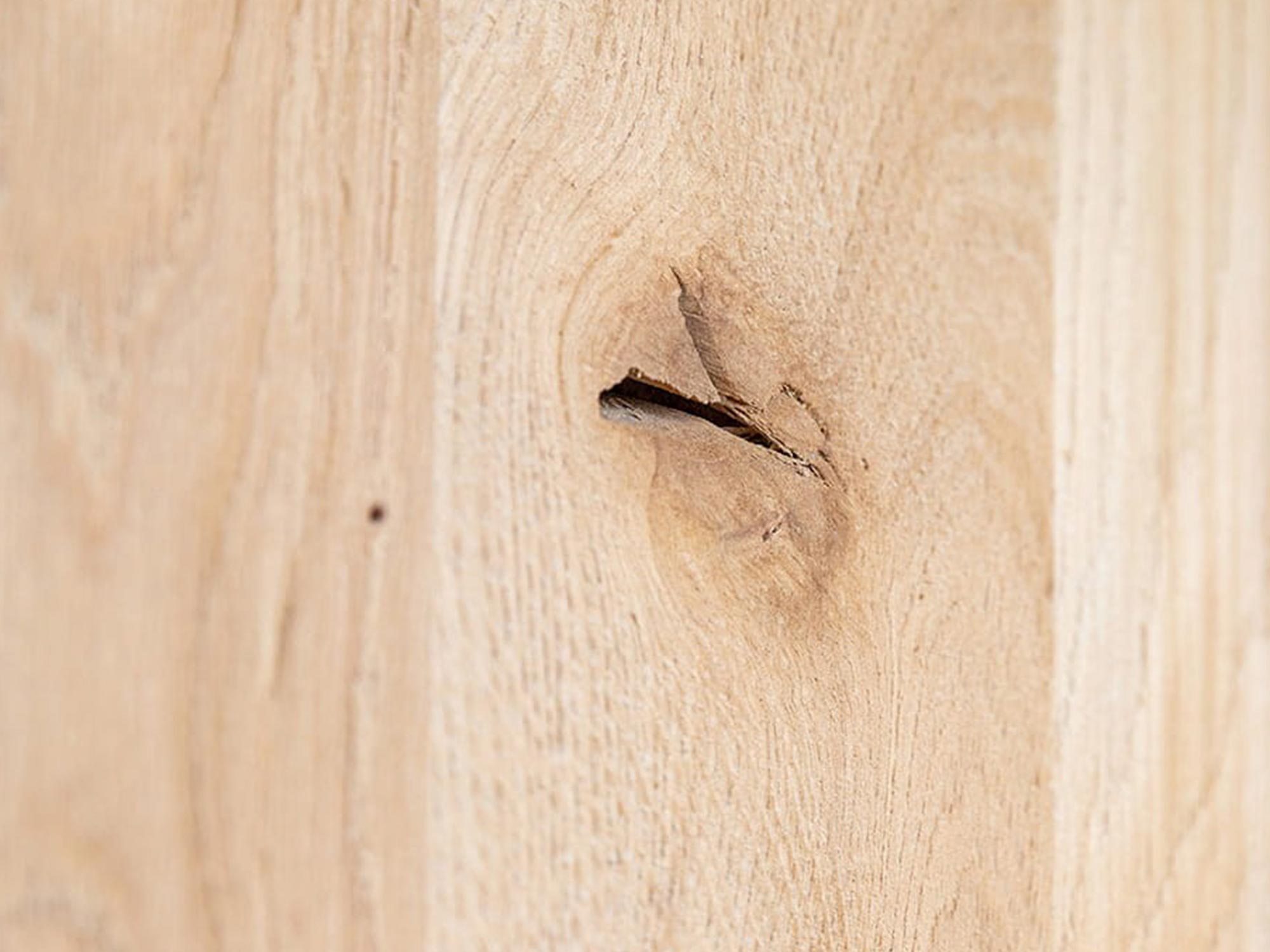 Zbliżenie na strukturę drewna dębowego z widocznym sękiem