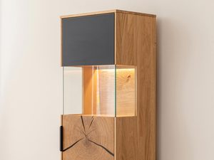Miniatura 3 - Vitrína s prosklenými dveřmi a podsvícením LED