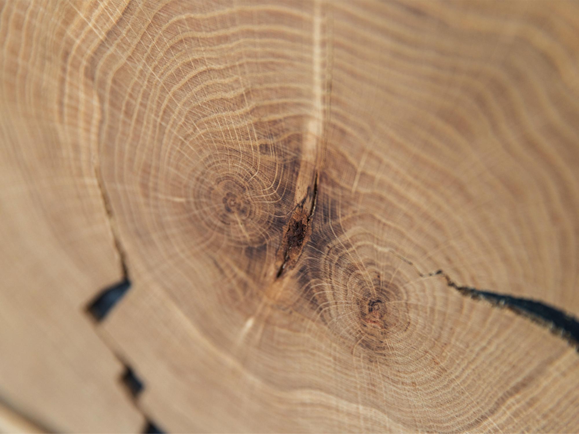 Detal usłojenia litego dębu z wyrazistymi sękami