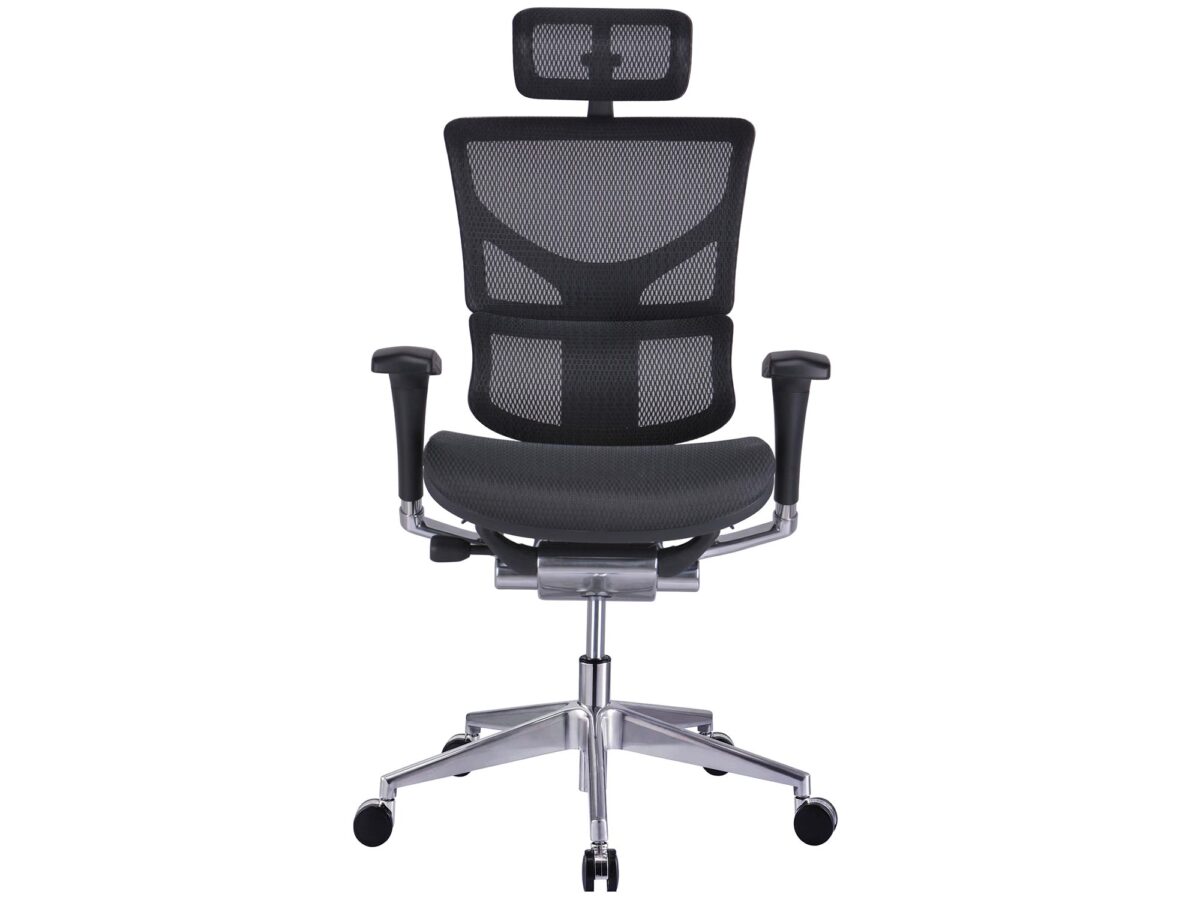 Ergonomischer Büro- und Gamingstuhl schwarz ERGOFLY SAIL Alum T-01 Black