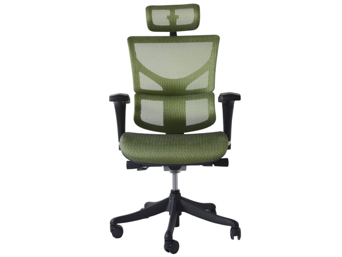 Ergonomischer Büro- und Gamingstuhl ERGOFLY SAIL T-05 Green