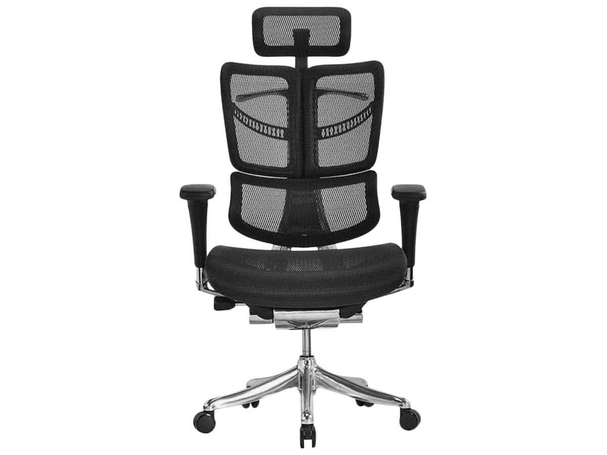 Ergonomischer Büro- und Gamingstuhl schwarz ERGOFLY FLY T-01 Black