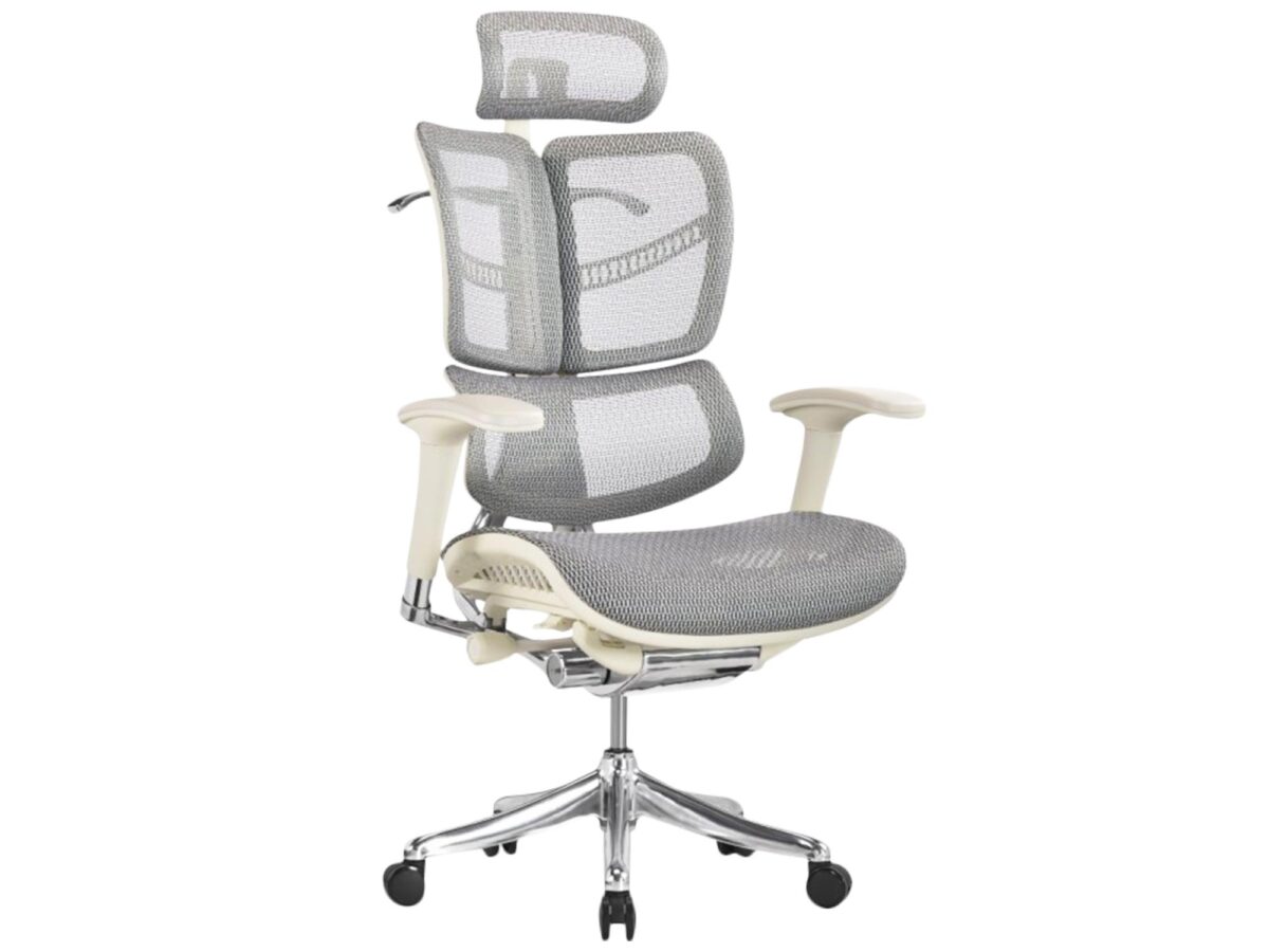 Ergonomická kancelářská a herní židle ERGOFLY FLY G T-06 White