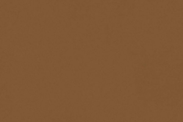 NEOSUEDE CAMEL