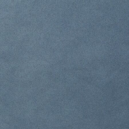 ROYAL SUEDE NAVY
