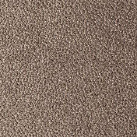 PACIFICO TAUPE