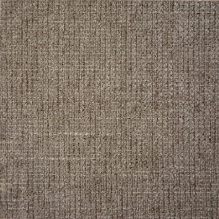 TRIBU TAUPE