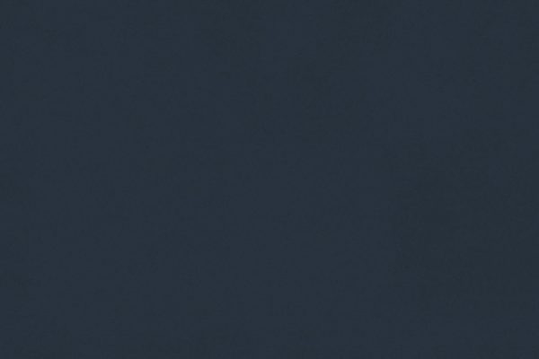 NEOSUEDE