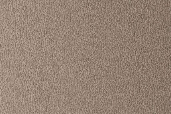 MADRAS LTAUPE