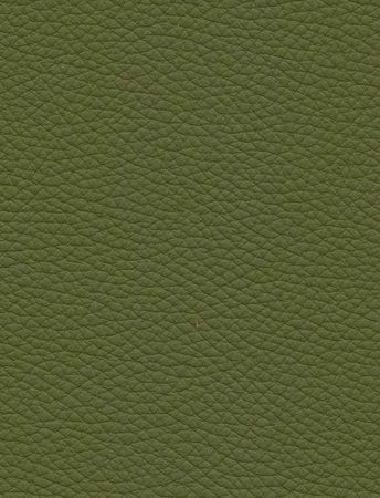 TOLEDO Apple Green