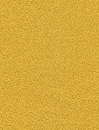 TOLEDO Giallo