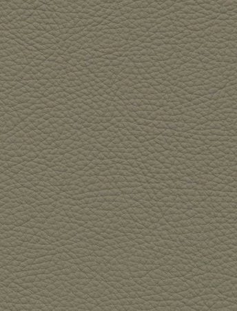 TOLEDO Khaki