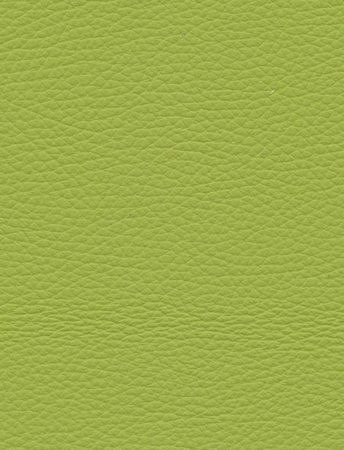 TOLEDO Lime