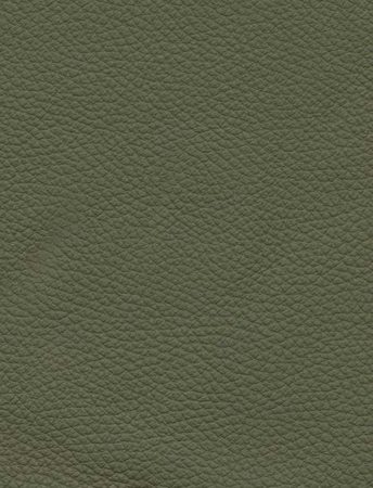 TOLEDO Olive