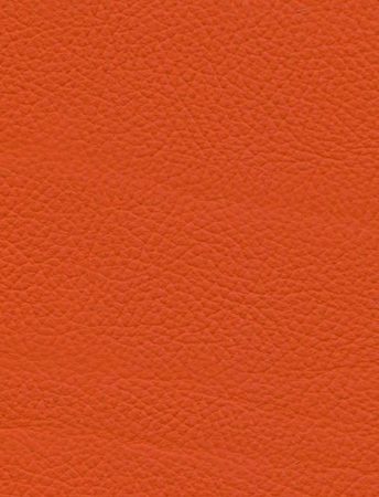 TOLEDO Orange