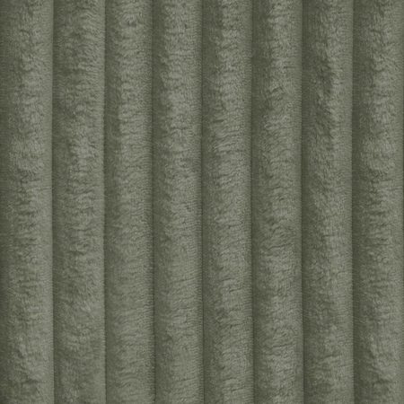TILIA 37