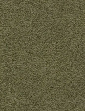 VINTAGE Olive
