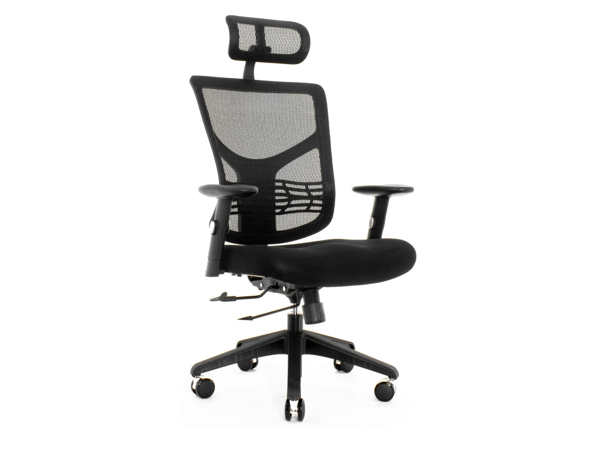 Ergonomické křeslo ERGOFLY STAR-E černé na bílém pozadí
